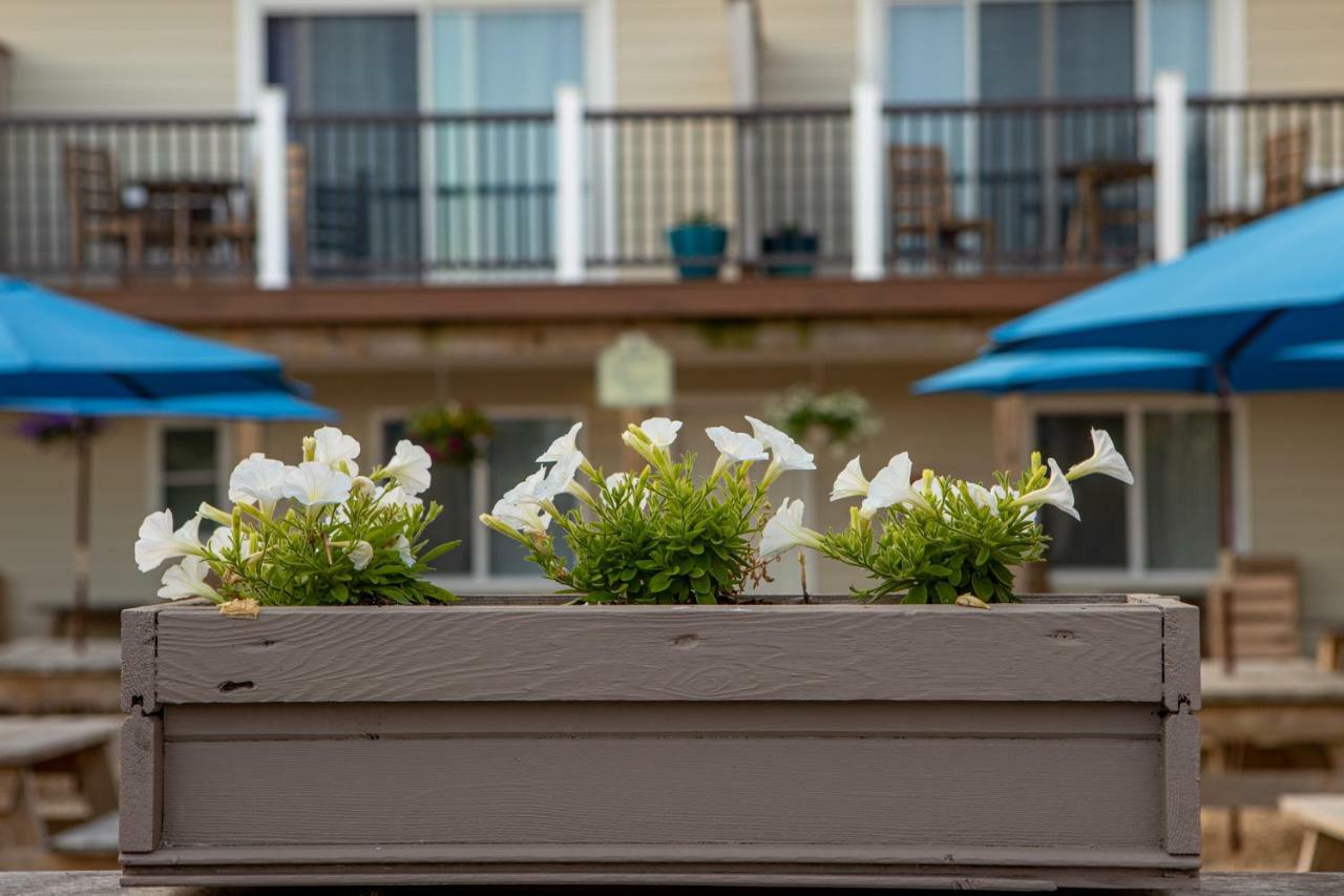 Aqualina Inn Montauk (Adults Only) Екстер'єр фото
